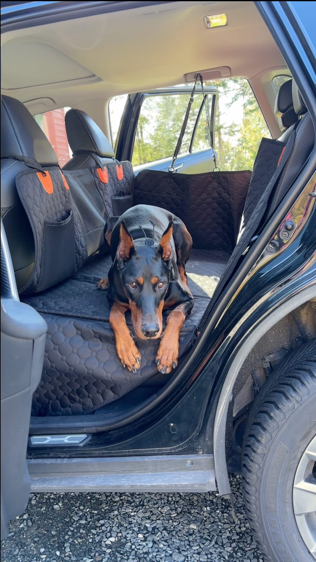 Cubre Asiento con Base Rígida para Mascotas | Protector Impermeable para Carro