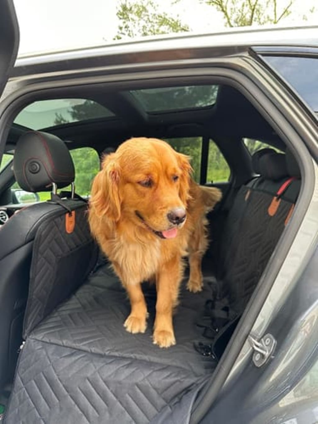 Cubre Asiento con Base Rígida para Mascotas | Protector Impermeable para Carro