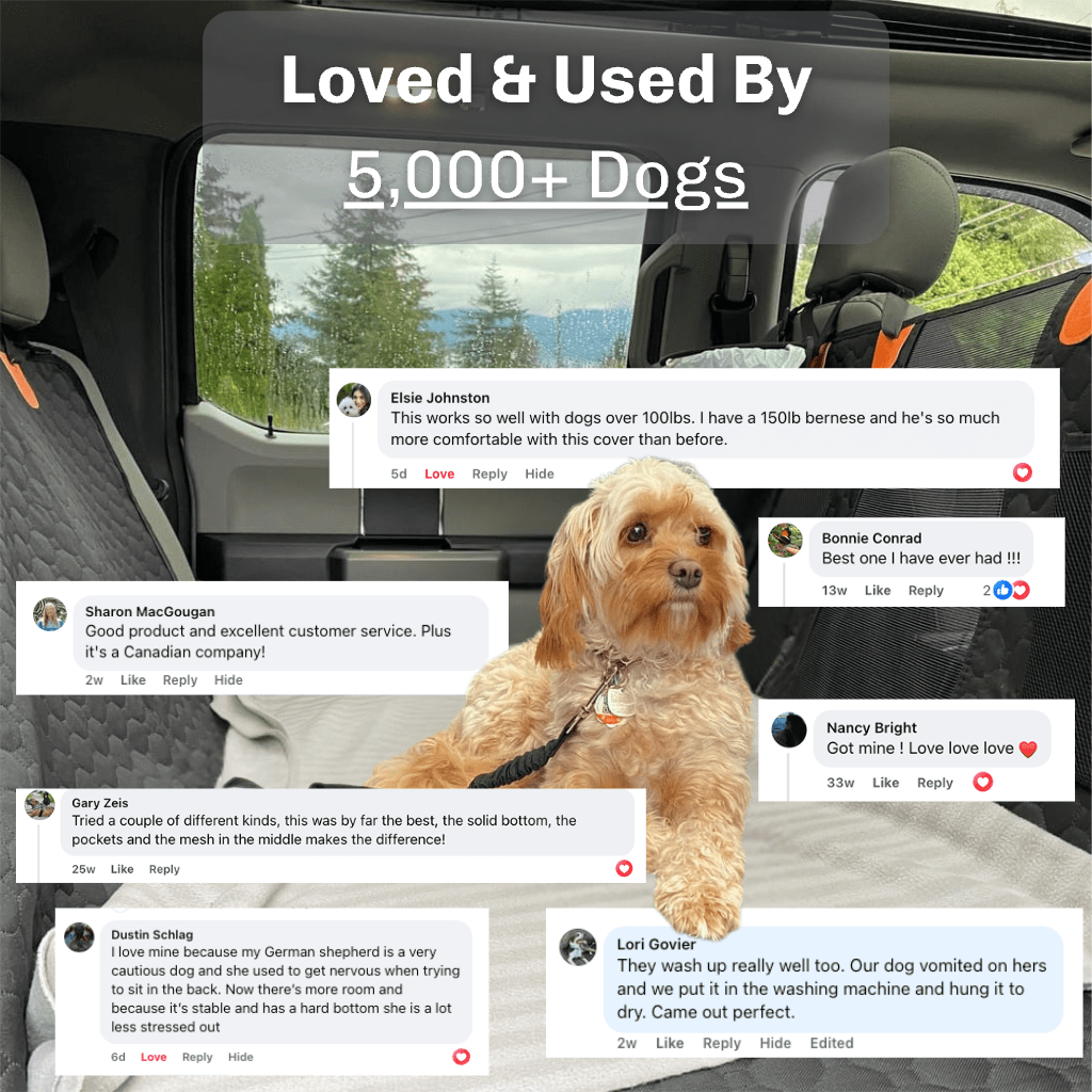 Cubre Asiento con Base Rígida para Mascotas | Protector Impermeable para Carro
