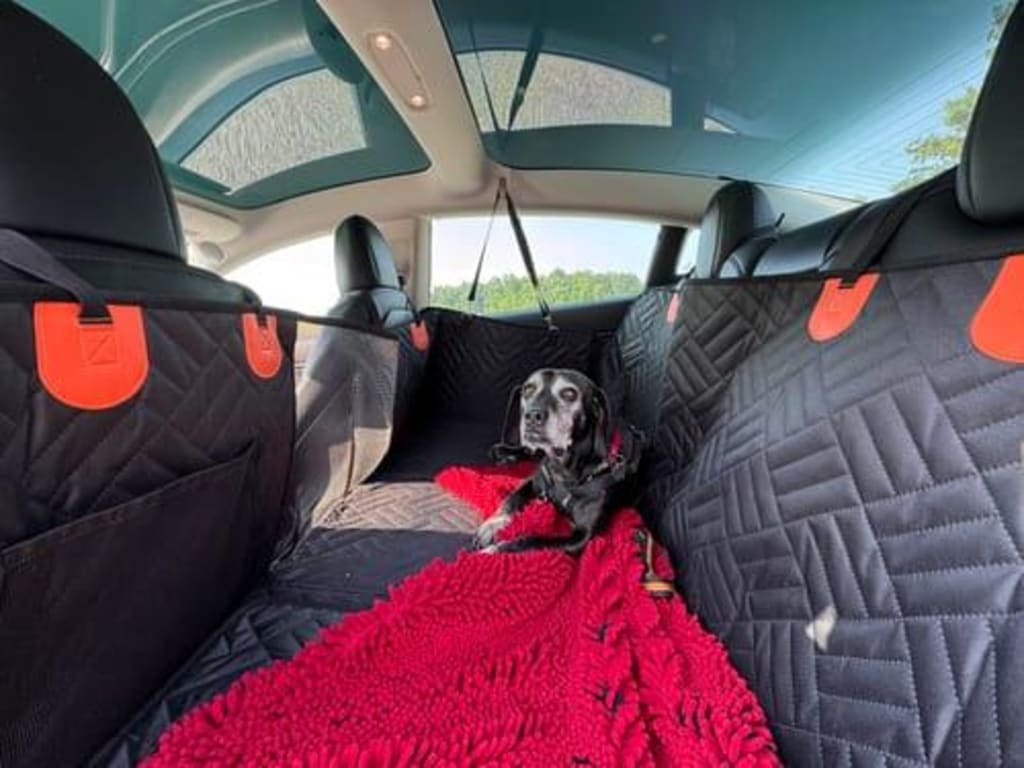 Cubre Asiento con Base Rígida para Mascotas | Protector Impermeable para Carro